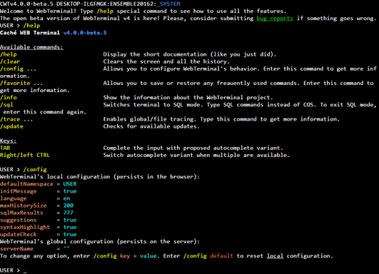WebTerminal: My Biggest Open Source Project