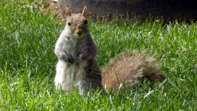 Traveling to United States