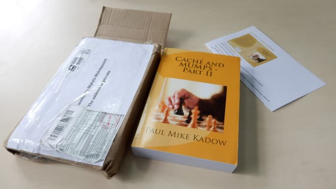 My First Publication in American Book