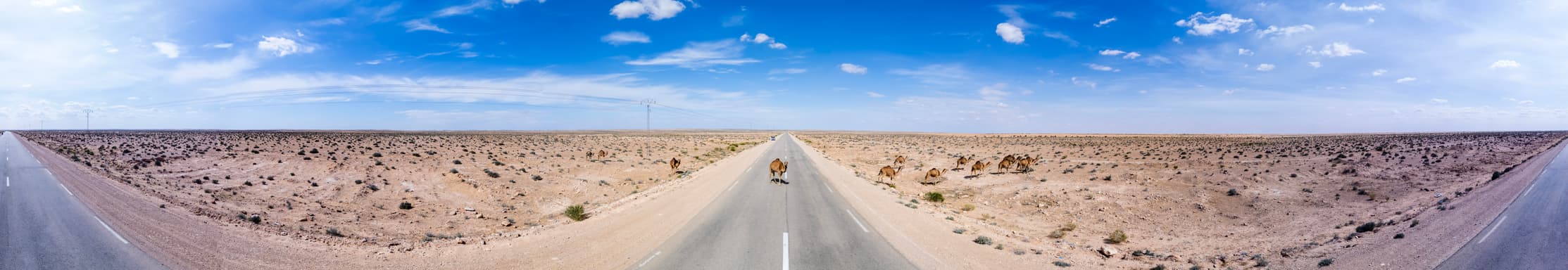 A week in Tunisia — Djerba, the Sahara, and the Star Wars deserts