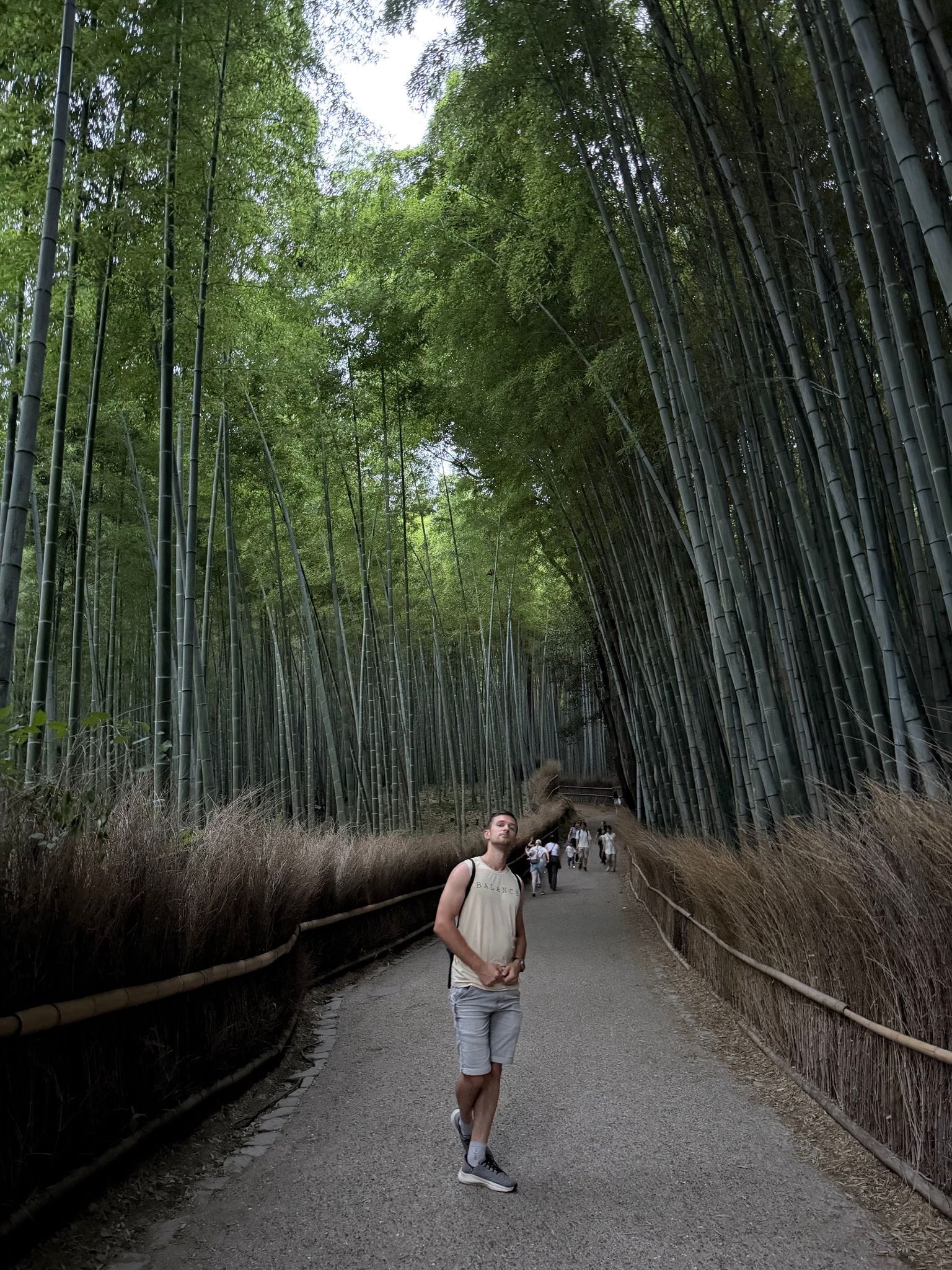 The Arashiyama bamboo grove in Kyoto